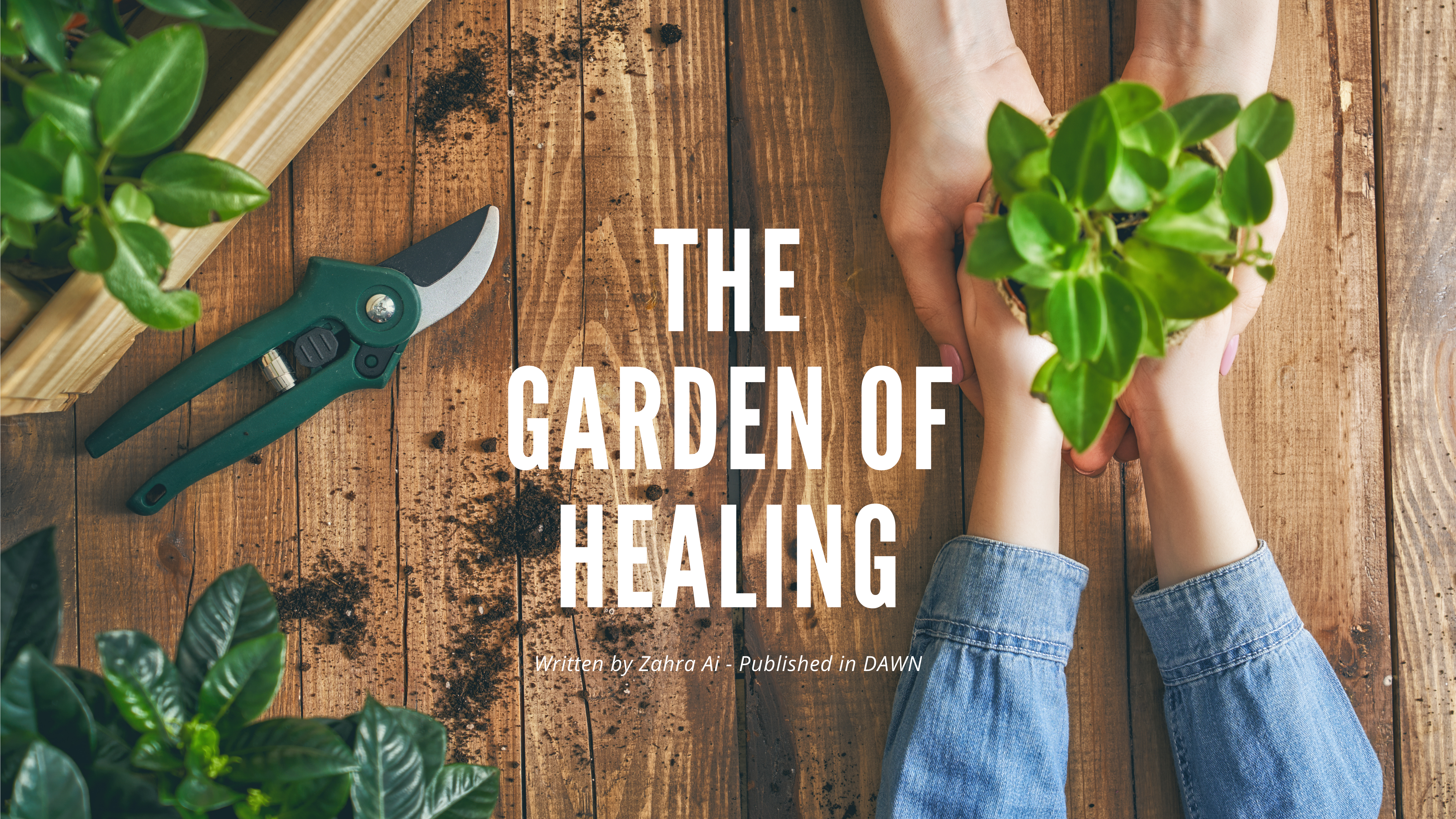 garden of healing