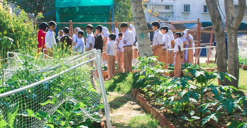 Learning Gardens